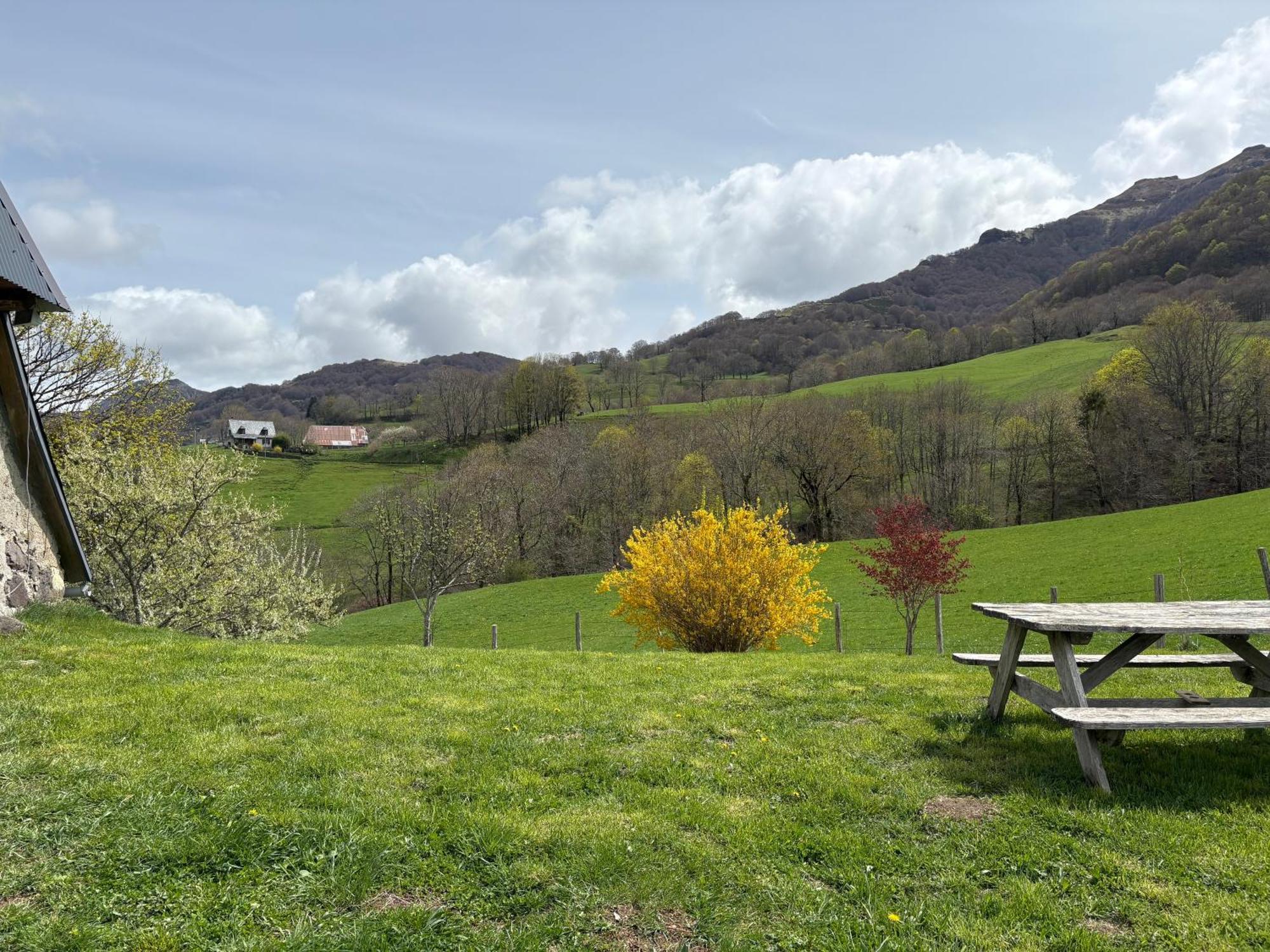 Le Pradima Villa Mandailles-Saint-Julien Eksteriør billede